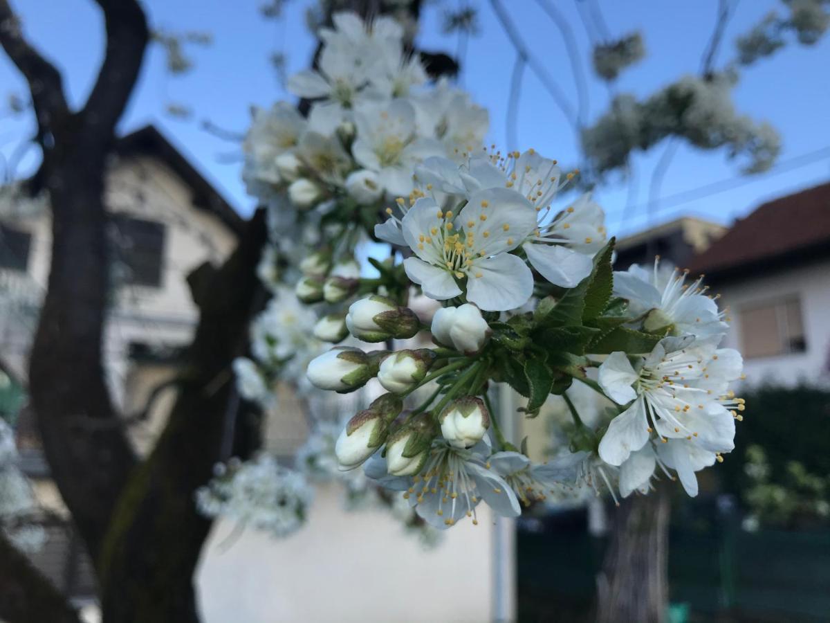 Apartman Katarina Zagreb Bagian luar foto
